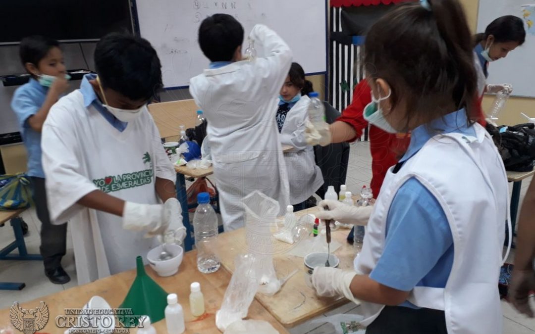 Proyecto Service and Cleaning.