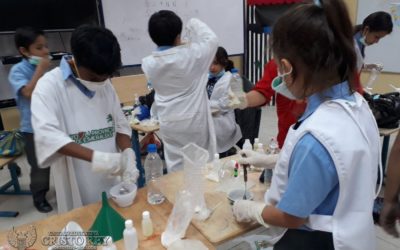 Proyecto Service and Cleaning.