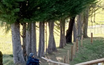 Ejercicios Espirituales: parte esencial de nuestra formación ignaciana